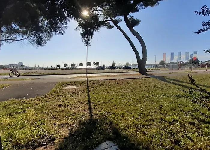 Murin Delfin 우마그