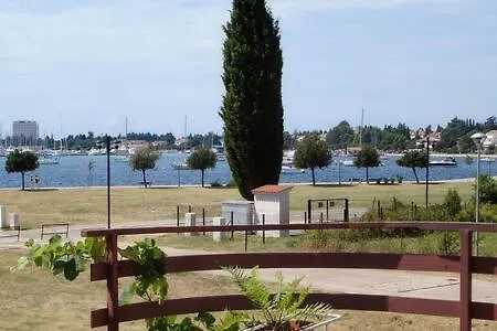 Murin Delfin Umag