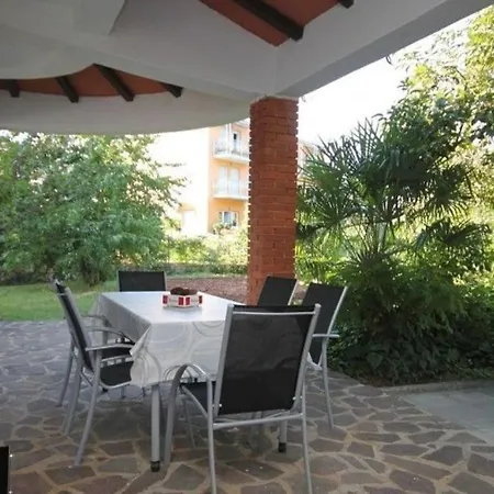 Murin Delfin * Umago