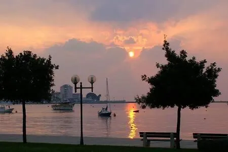 Apartman Murin Delfin