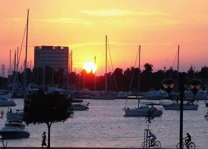 Murin Delfin Apartman *